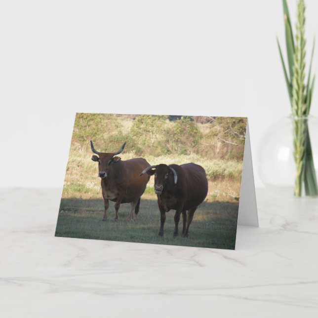 Carte cornes de vache - obtenir bien (Devant)