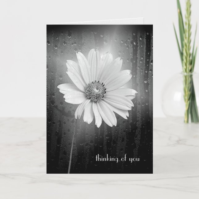 Carte Cosmos Flower Penser De Vous (Devant)