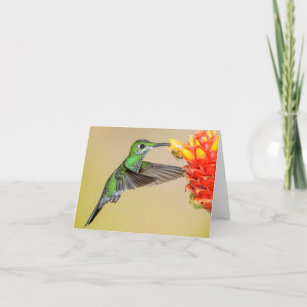 Cartes De Vœux Tropical Exotique Zazzle Ca