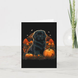 Carte Costume de chien Newfie citrouille sur chien Terre