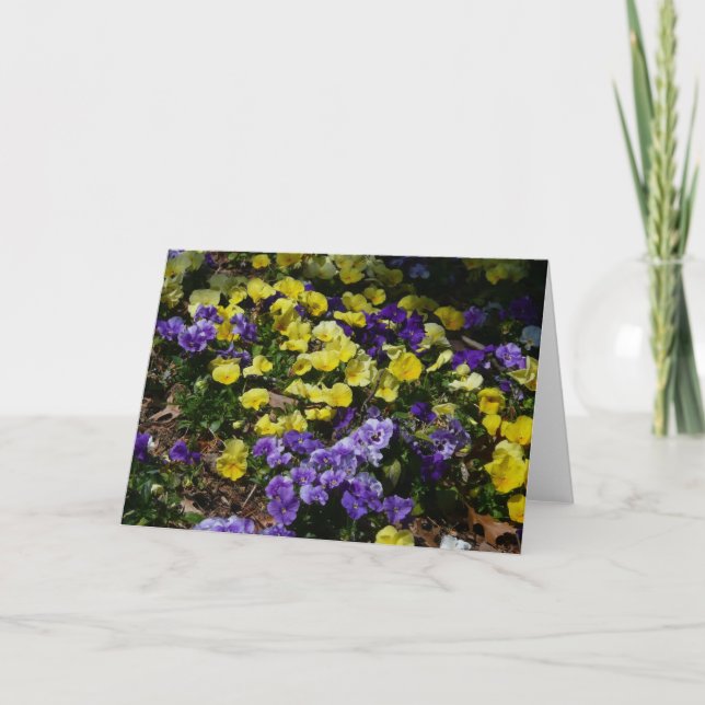 Carte Coteau de panneaux violets et jaunes (Devant)
