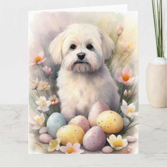 Carte Coton De Tulear avec oeufs de Pâques vacances (Devant)