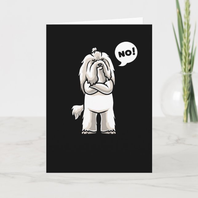 Carte Coton de Tulear Chien têtu drôle (Devant)
