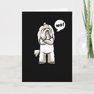 Carte Coton de Tulear Chien têtu drôle