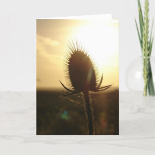 Carte Coucher de soleil