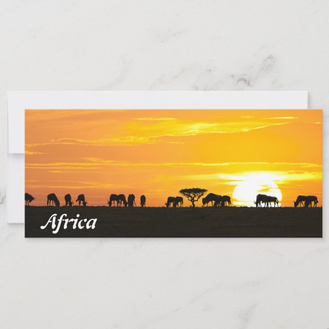 Carte Coucher de soleil dans le Serengeti (Devant)