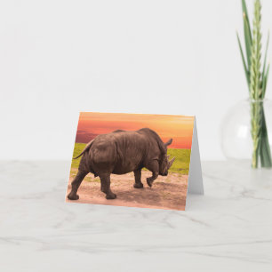 Carte Coucher de soleil Rhino