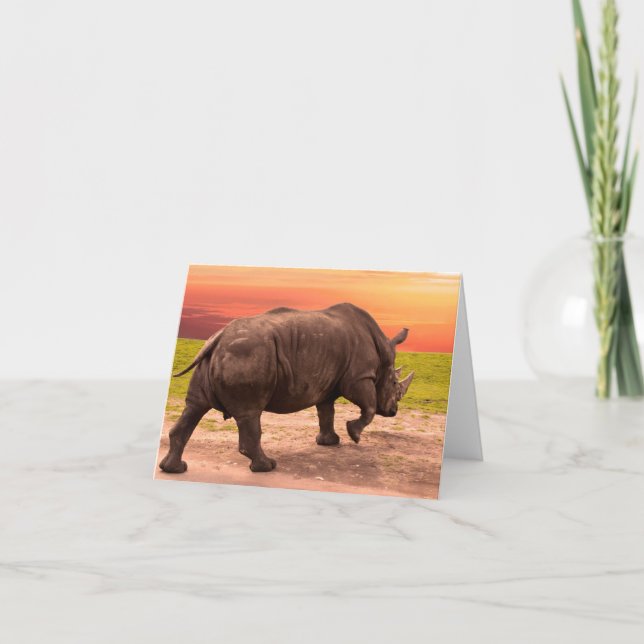 Carte Coucher de soleil Rhino (Devant)