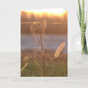 Carte Coucher du soleil