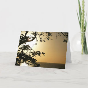 Carte Coucher du soleil à travers les arbres II Photogra