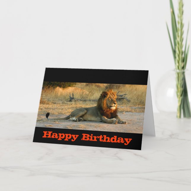 Carte Coucher du soleil de lion de joyeux anniversaire (Devant)