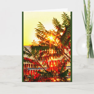 Carte Coucher du soleil de Winnebago de lac pensant à