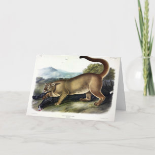 Carte Cougar ou Puma, Panther, Lion de montagne, Montagn