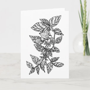 Carte Couleur de Campanula (campanule) il vous-même