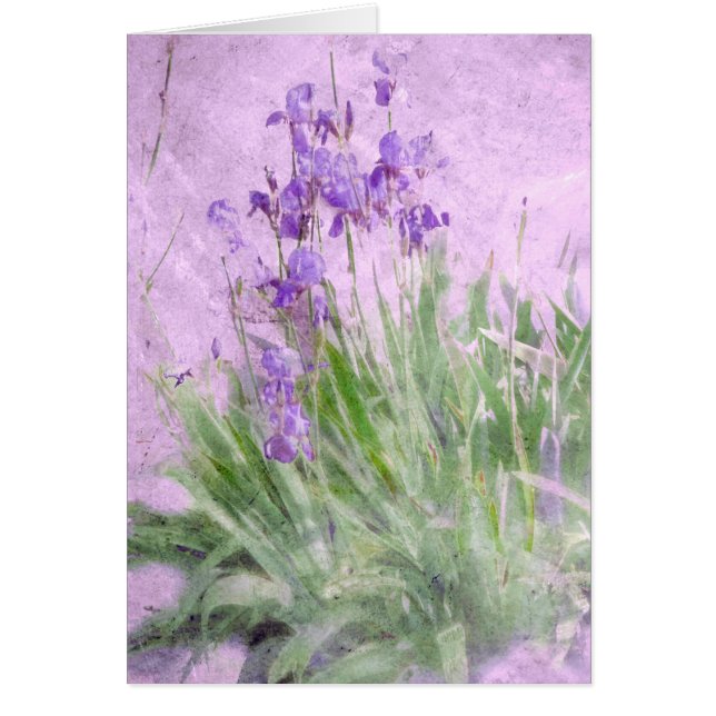 Carte couleur d'eau violet Irises (Devant)