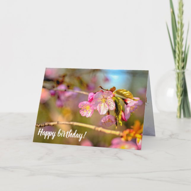 Carte Couleurs Chaleureuses Des Fleurs Sakura En Saison  (Devant)