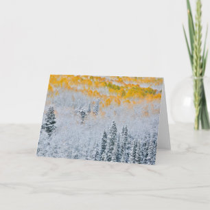 Carte Couleurs d'automne des Aspens Montagnes Rocheuse