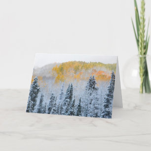 Carte Couleurs d'automne des trembles et neige fraîche K