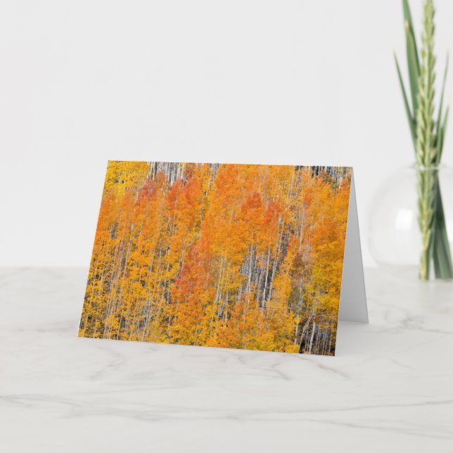 Carte Couleurs d'automne sur Aspen Groves (Devant)