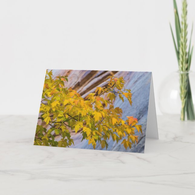 Carte Couleurs de chute (Devant)