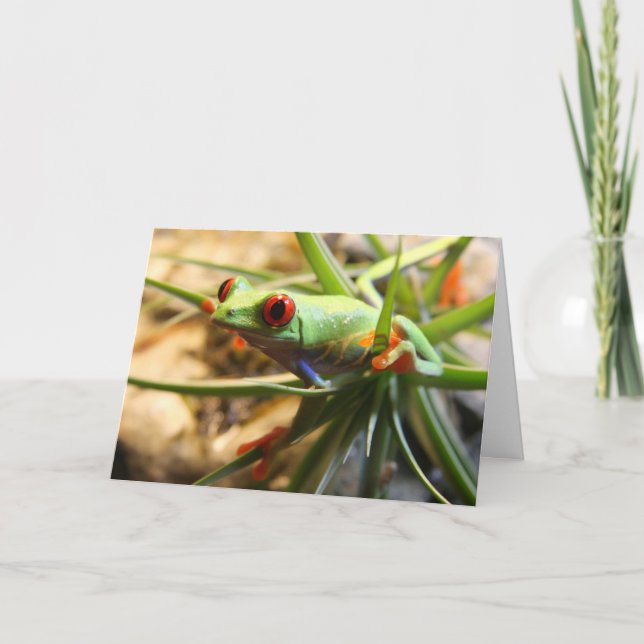 Carte Coup dedans là ! (Devant)