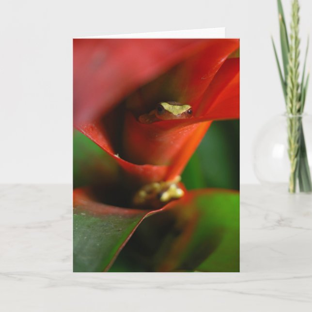 Carte Coup d'oeil (Devant)