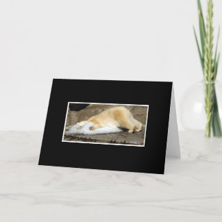 Carte coup manqué d'ours blancs vous