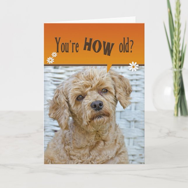 Carte Coupe d'anniversaire (Devant)
