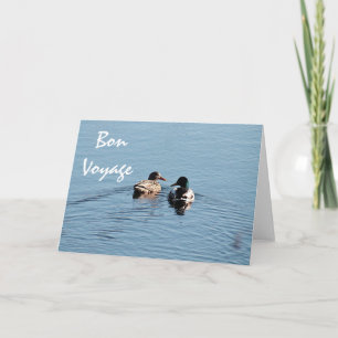 Carte Couple de canard de Mallard