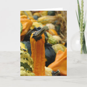 Carte Courges