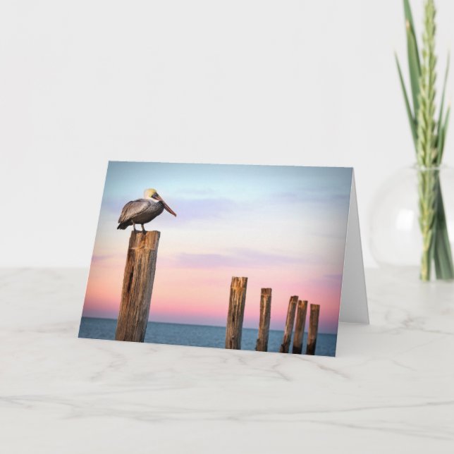 Carte Courriers et une plage du pélican | Fort Myers, la (Devant)