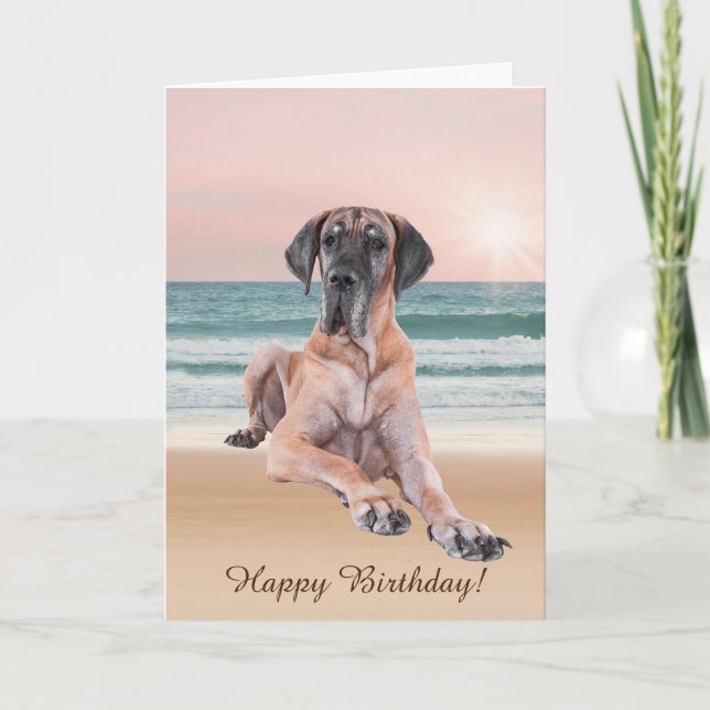 Carte Coutume Grand Chien Danse assis sur la plage (Devant)
