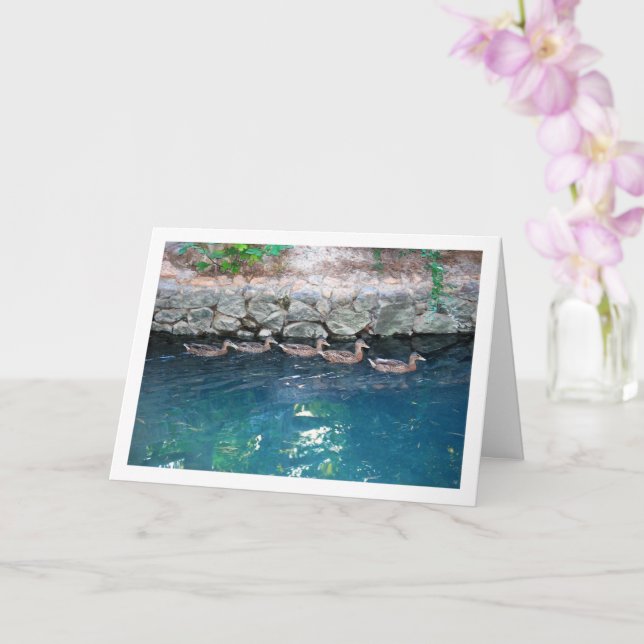 Carte Couvée de canards dans l'eau bleue majestueuse (Orchidée)