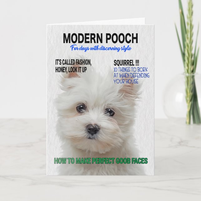 Carte Couverture du magazine parodique Maltese Terrier (Devant)