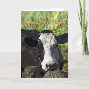 Carte Cow Birthday