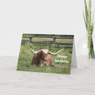 Carte Cow Texas Longhorn Photo Anniversaire