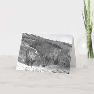 Carte Cowboy séparé de son troupeau