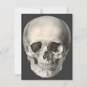 Carte Crâne d'anatomie humaine vintage, squelette d'Hall