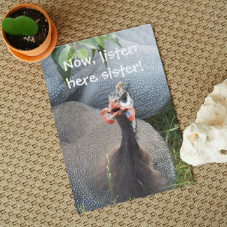 Carte Cranky Guinea Fowl'anniversaire amusant