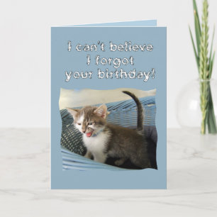 Carte Crazy Kitten Anniversaire