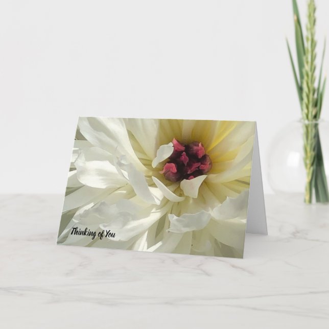 Carte Creamy White Peony Flower (Devant)