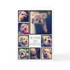 Créer un collage photo personnalisé avec 8 photos