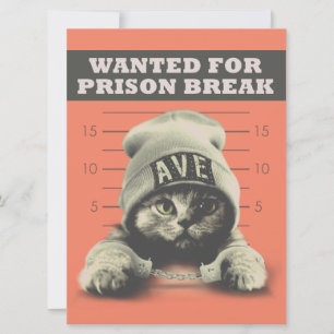 Carte Crime Kitty
