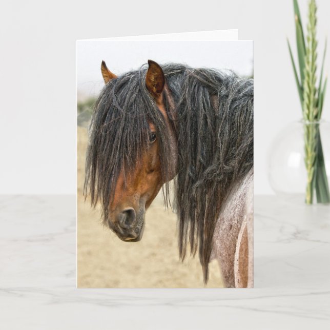 Carte Crinière de cheval (Devant)