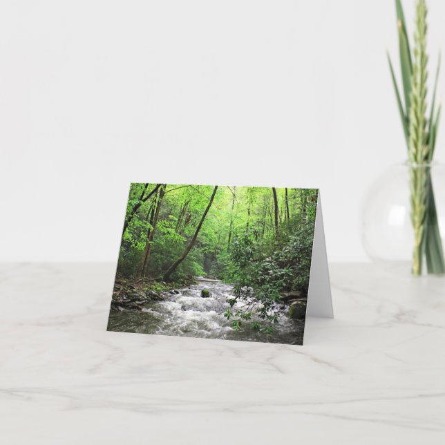 Carte Crique des feux (Devant)