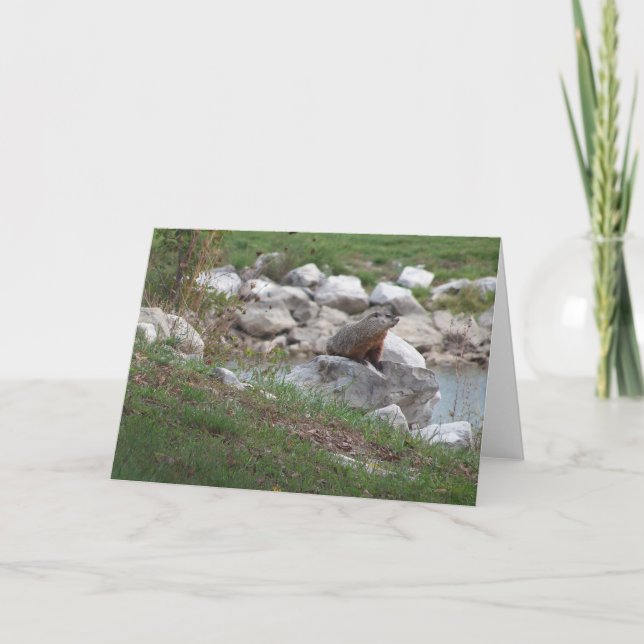 Carte Critère Au Lac (Devant)