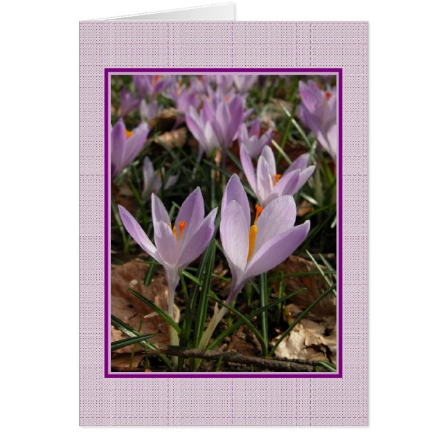 Carte Crocus (Devant)