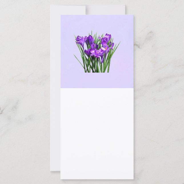 Carte Crocus pourpres (Devant)