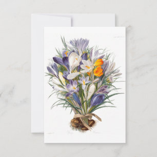 Carte Crocus Spring Flower Botanique Floral Art