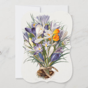 Carte Crocus Spring Flower Floral Art